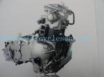 CVT300CC Special type Motorcycle Engines