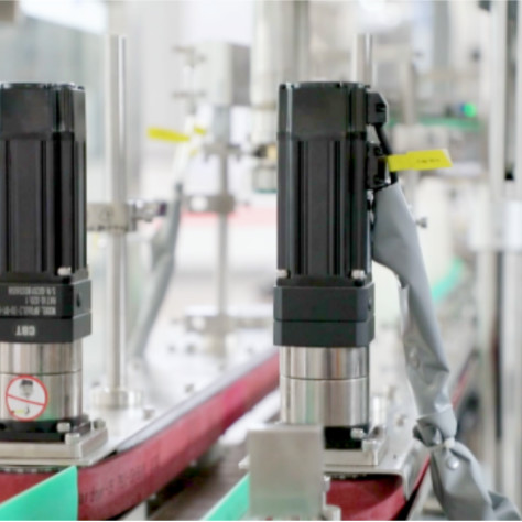 Twin Heads Automatic Follow Type Capping Machine FXG-2E 2500BPH