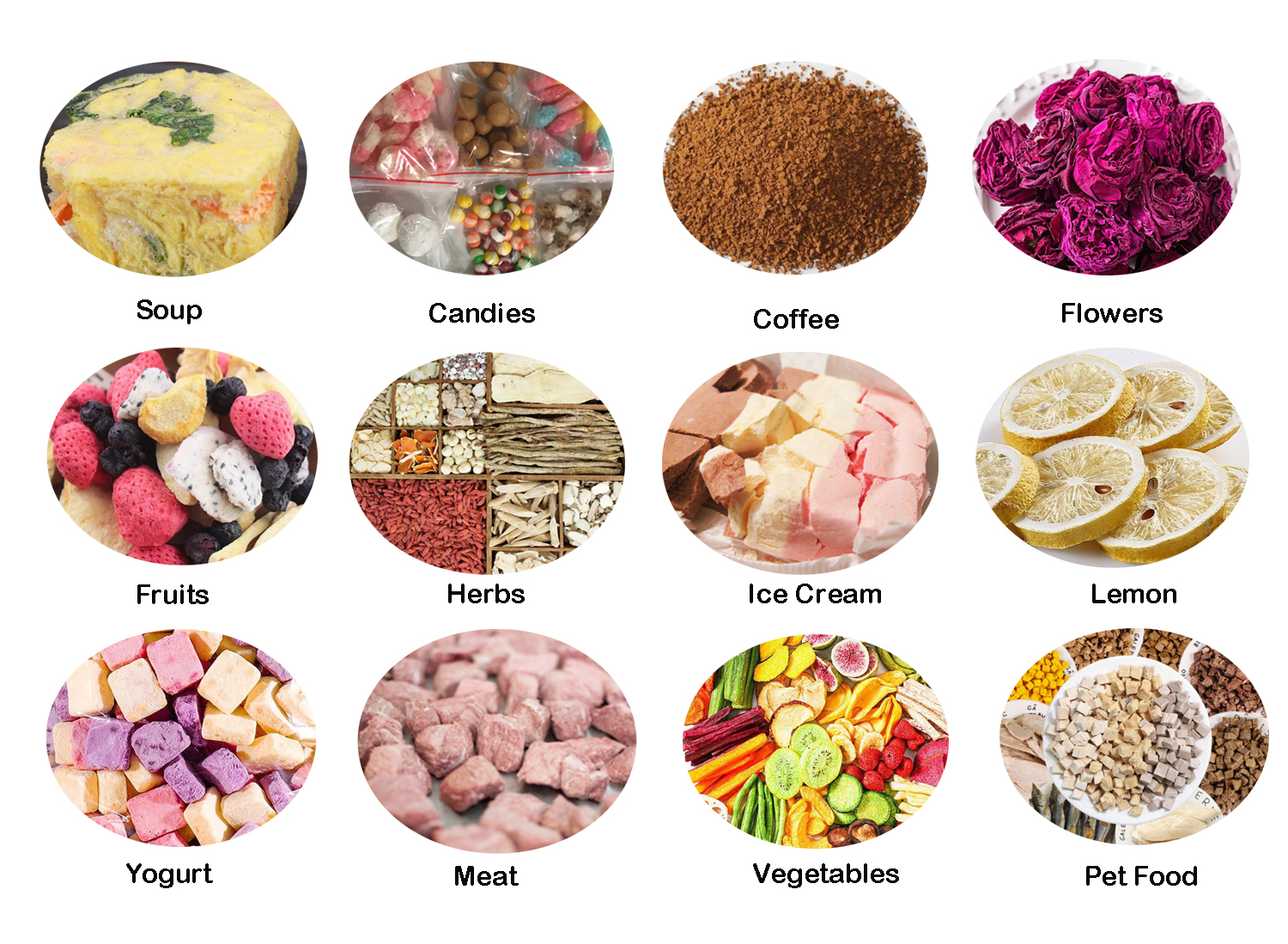 Freeze Dryer Lyophilization Machine Vacuum Freeze Dryer Lyophilizer Dryer Fruit Freeze Dryer