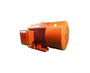 China YE3 315L2-2 200KW Low Voltage Permanent Magnet Synchronous Motor H80-H355 Frame on sale