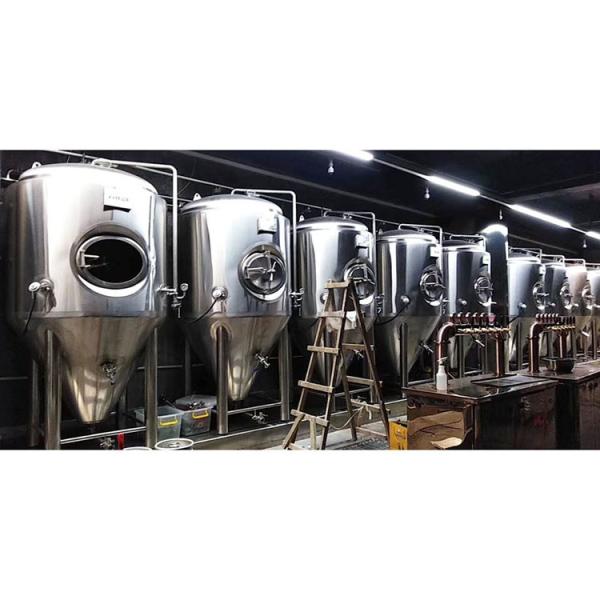 Commercial Stainless Steel Fermentation Beer Brewing Equipment with 220V/110V
