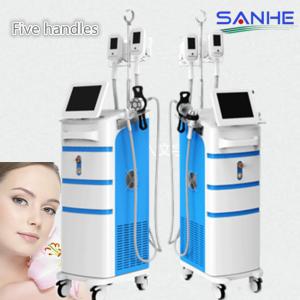 Quality Cryolipolysis Machine Fat Freezing Machine With 5 Handles wholesale