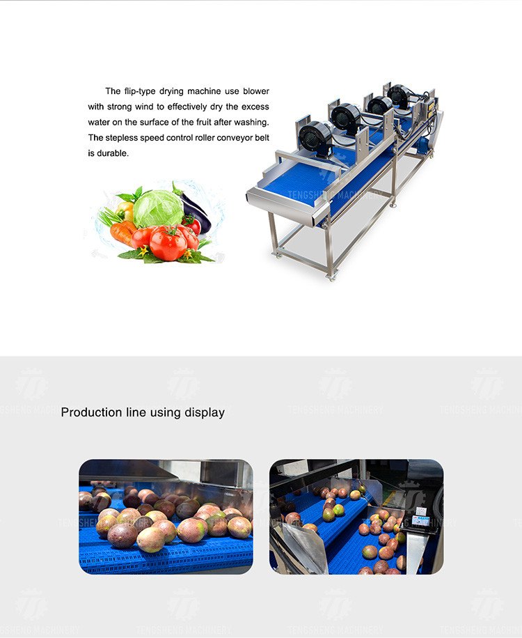350KG Fruit and vegetable food air drying line flip stainless steel air drying machine