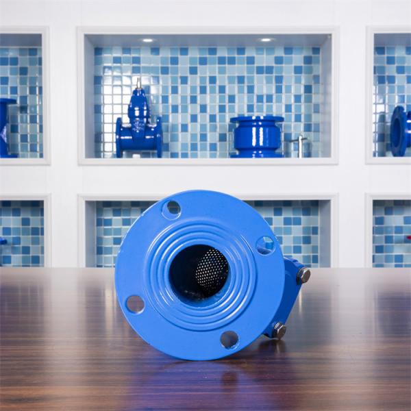 Cast Ductile Iron Y Strainer Stainless DN200 Basket Y Type Water Filter