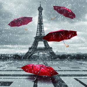 Quality Ready made classic plain blackout roller fabric ready made classic wholesale