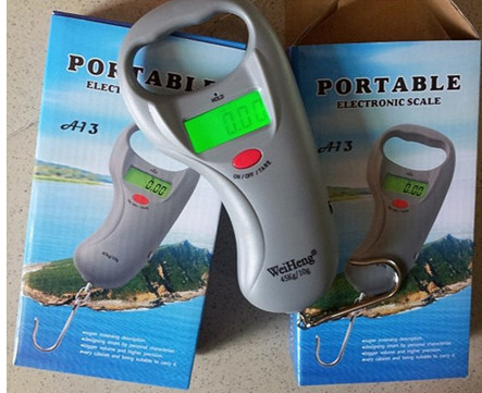 ABS Plastic Fishing Weight Scale 10g Division With Over Load Indication