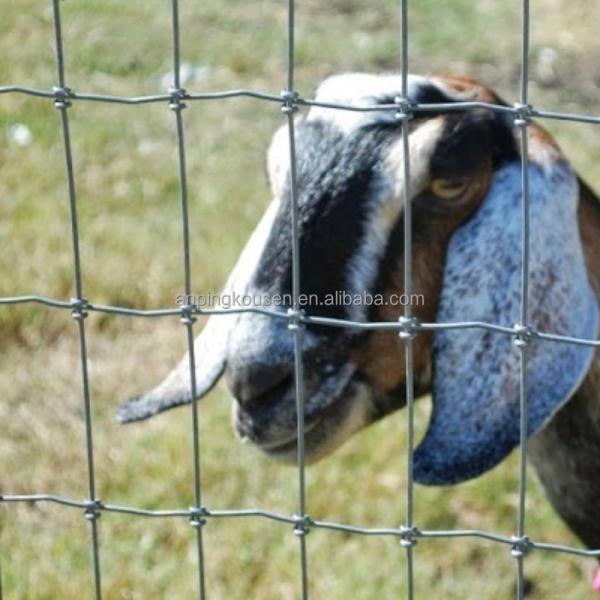 Hot Dipped Galvanized Fixed Knot Woven Game Wire Farm Fencing for Pasture Goat Cow Grassland