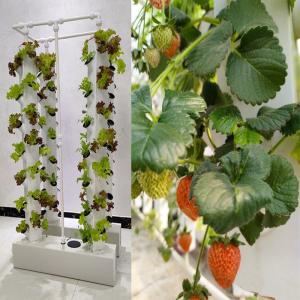 Quality Intelligent Hydroponics Vertical Garden Planting Herbal Plants NFT Growing System wholesale