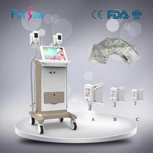 Quality 2016 newest factory three handle sizes home cryolipolysis slimming machine portable wholesale
