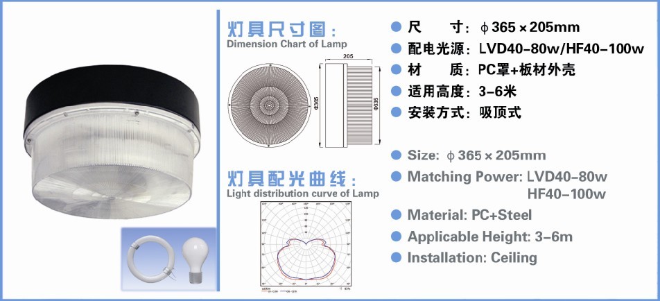 Induction lamps-Ceiling lights-GC76A