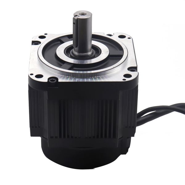 48VDC 250W 8Nm Incremental Encoder Servo Motor Turnstile Servo Motor Low Voltage DC Motor