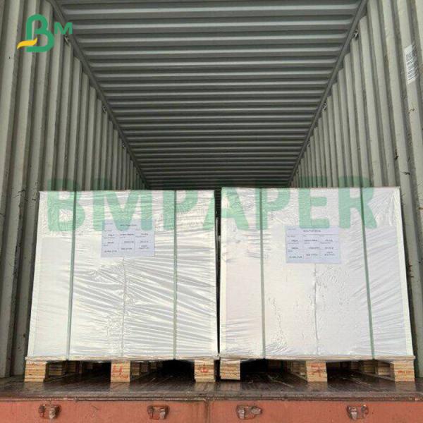 C2S Gloss Matte Paper 120gsm 148gsm 200gsm 250gsm 27"x39" For Journals Printing