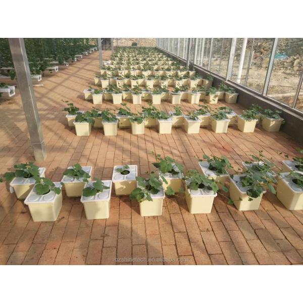 30*25*23cm Dutch Bucket Complete Hydroponic Growing System For Tomato Cucumber Pepper