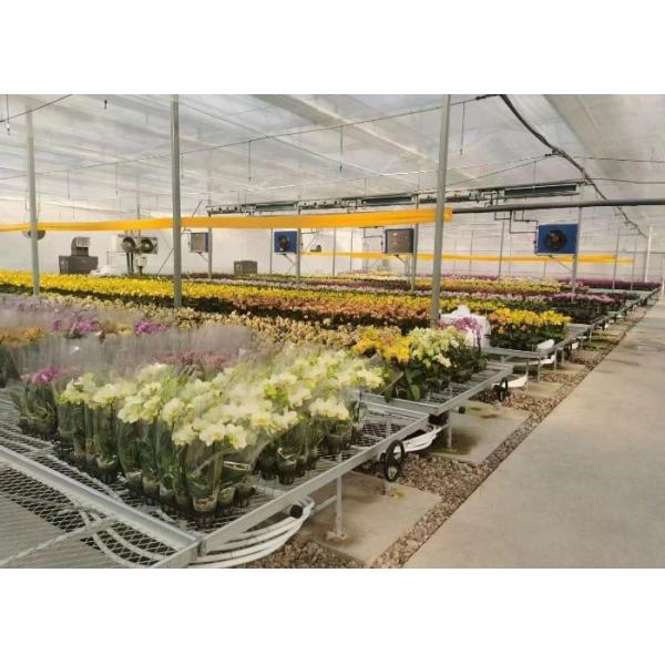 Galvanized Expanded Metal Plant Bench Table Greenhouse For Flower Vegetable Stand