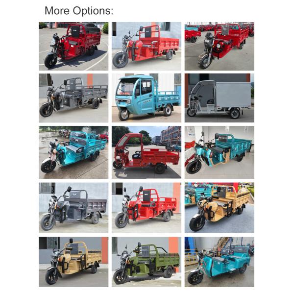 Rear Wheelbase 830mm Max Speed 51km/h Adult Farm Bike Electric Tricycles Three Wheel Motorcycle