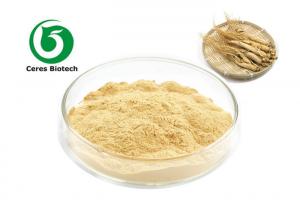 China Mental Ability Siberian Root Extract 30% 80% Ginsenosides Panax Ginseng Extract on sale