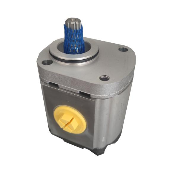 Forklift Spare Parts Well-Functioned Clark Hydraulic Gear Pump 4331495