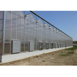 Quality Shouguan Agricultural Glass Greenhouse Hot Dip Galvanized Rust Prevention Design wholesale