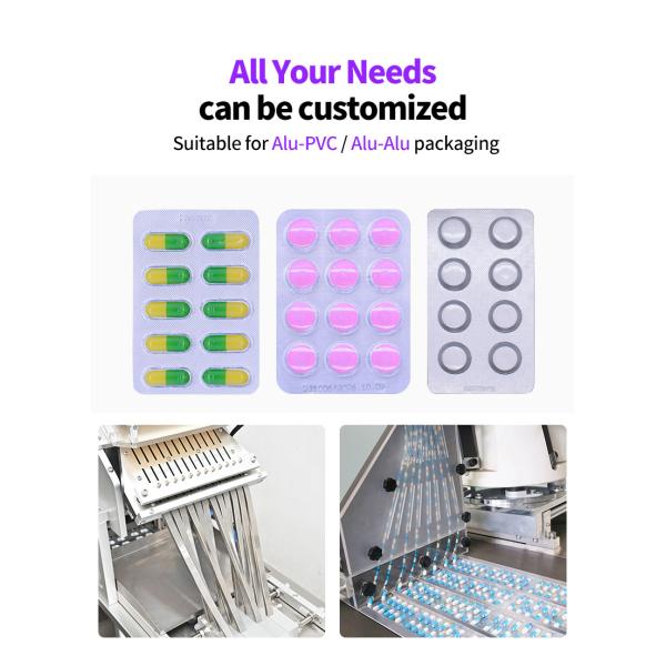 Servo Motor Controlled Blister Packing Machine DPP 270Max For Tablet Capsule