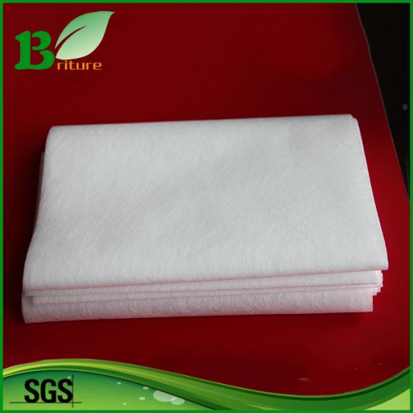 Low Temperature Copolyester Hot Melt Adhesive Web For Fabric Bonding
