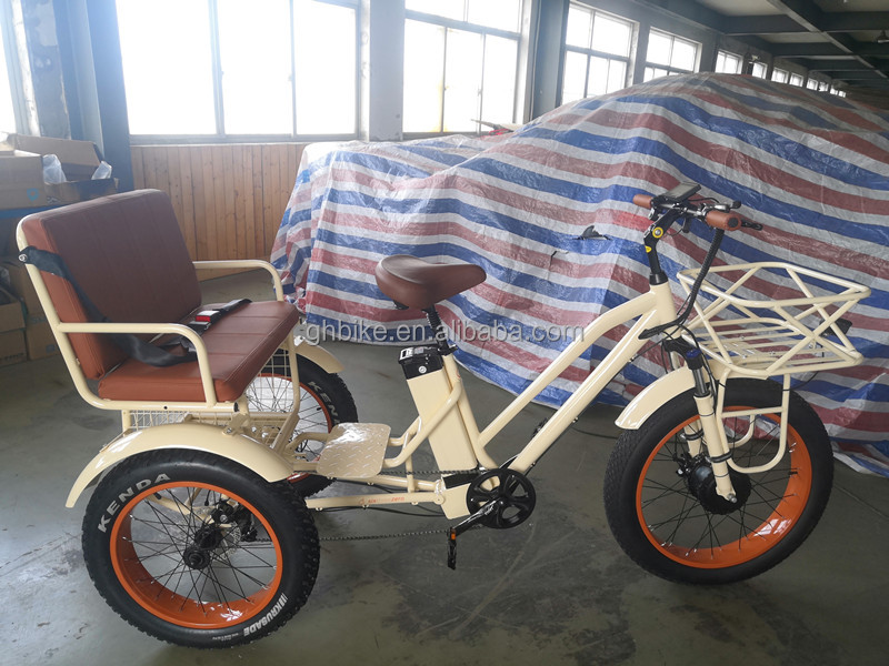 USA 24"20" Motorized Bafang 8fun 750W 48V 17a Adult 3 Wheels Cargo Ebike Electric Tricycle