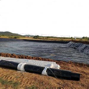 China High Surface Hardness HDPE Black Fish Pond Liner Plastic Geomembrane for Fish Farming on sale