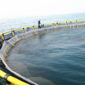 HDPE Circular Fish Cage 200mm Floating Pipe Anti-Wave Design