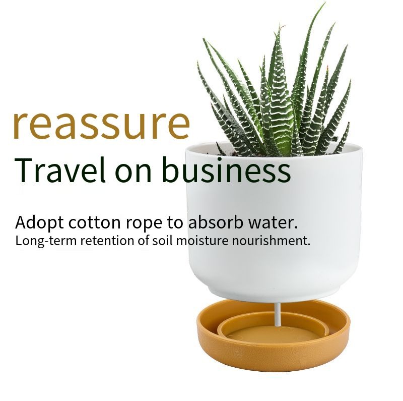 Modern Self Watering Planter Pot for Home Decor