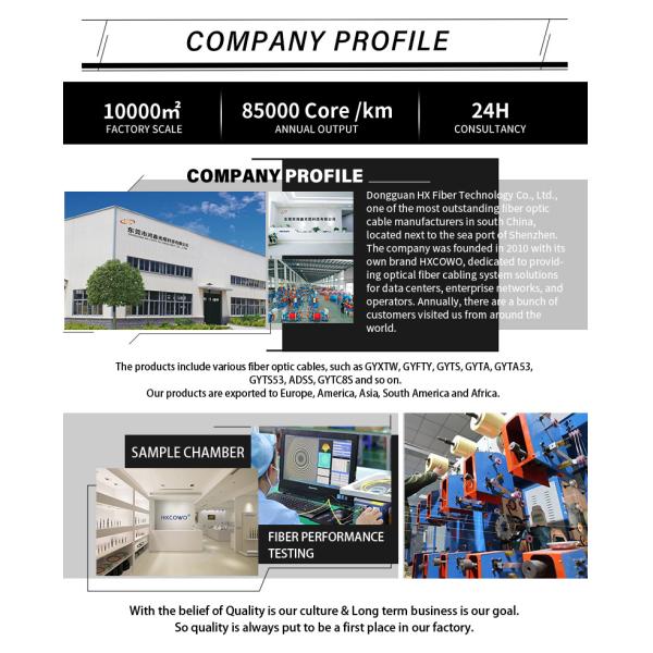 FTTH PVC 3.0MM Single Mode G657A1 3M ST/UPC-ST/UPC Armored Fiber Optic Patch Cord