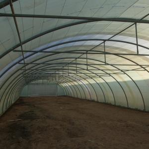 Agricultural Single Span Greenhouse Flowers And Vegetables Poly Film Greenhouse