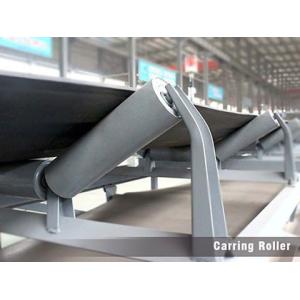 Quality Low Rotate Resistance Labyrinth Seal Conveyor Component wholesale