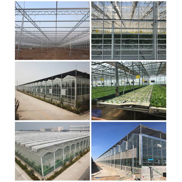 Height 3m Customized Agriculture Small Glass Garden Greenhouse for Vegetables Growing