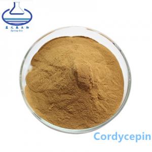 China 73-03-0 Stevia Plant Extract , 3% 5% Cordyceps Militaris Powder on sale