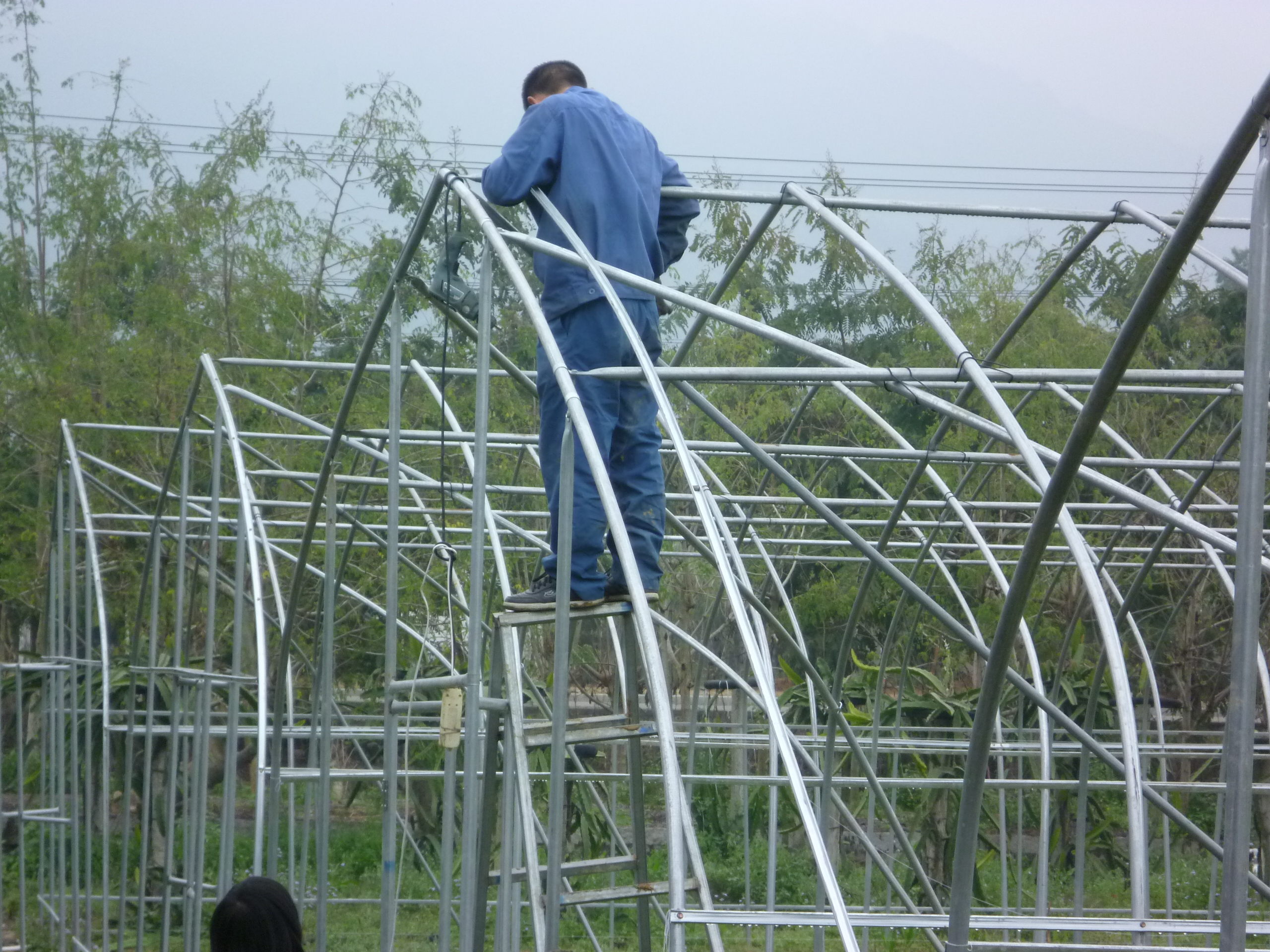 Single Layer Plastic Film Greenhouse Versatile For Agricultural Applications