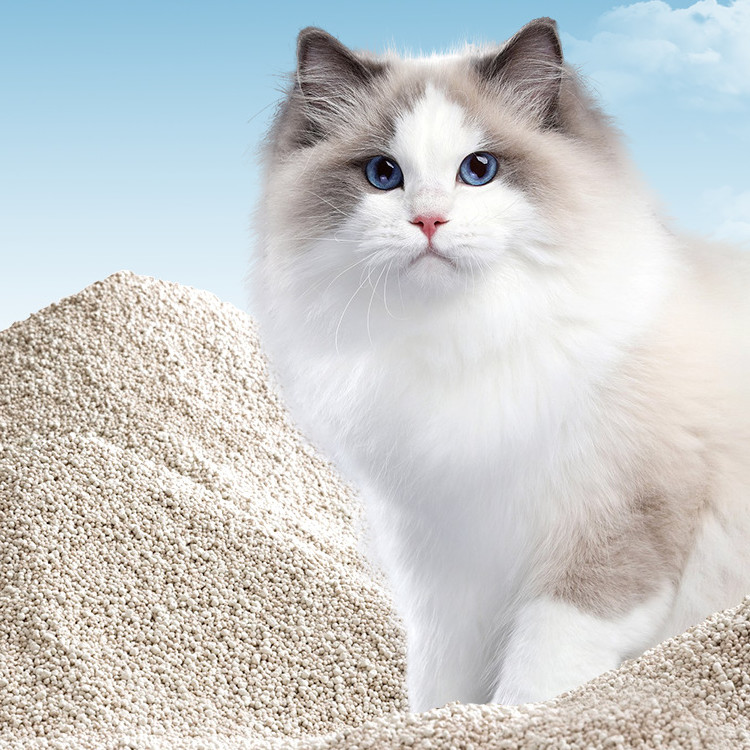 Bulk Cassava Litter Low Dust White Fast Clumping Cat Litter 100% Plant