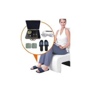 Quality French USB Quantum Health Test Machine 38 Reports Protable wholesale