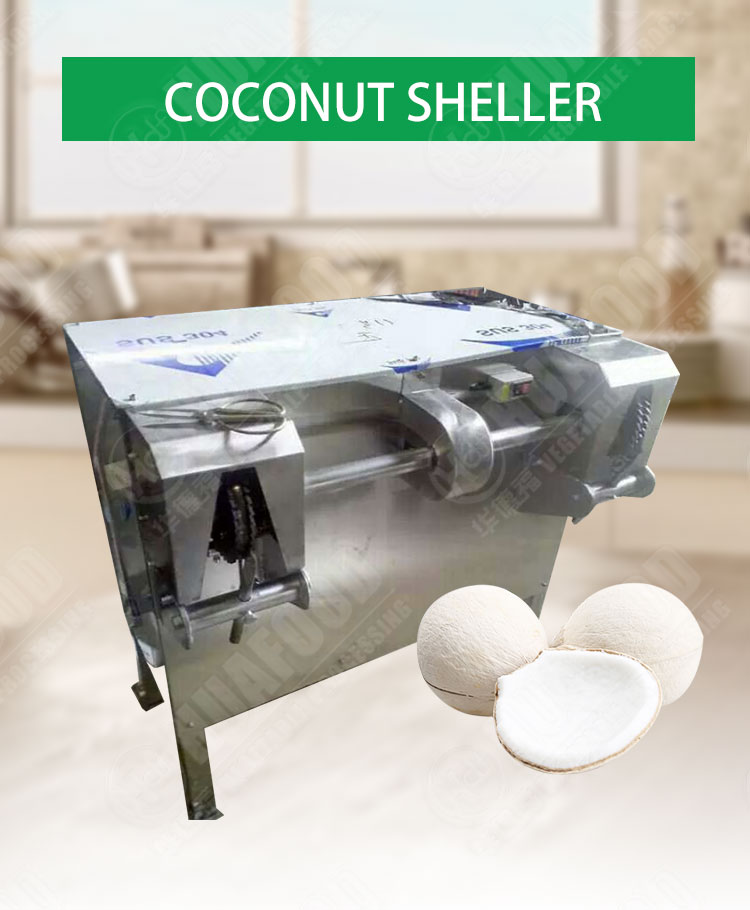 automatic old coconut peeling machine/coconut meat peeler machine