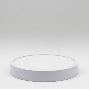 Quality Round Surface Mounted Small LED Panel Light With Simple Appearance wholesale