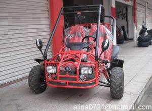 GY6-200 oil-cooled go kart    200cc Sports Racing Go Karts Go Carts