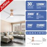 52-Inch Ceiling Fan with Transparent Blades & LED Light