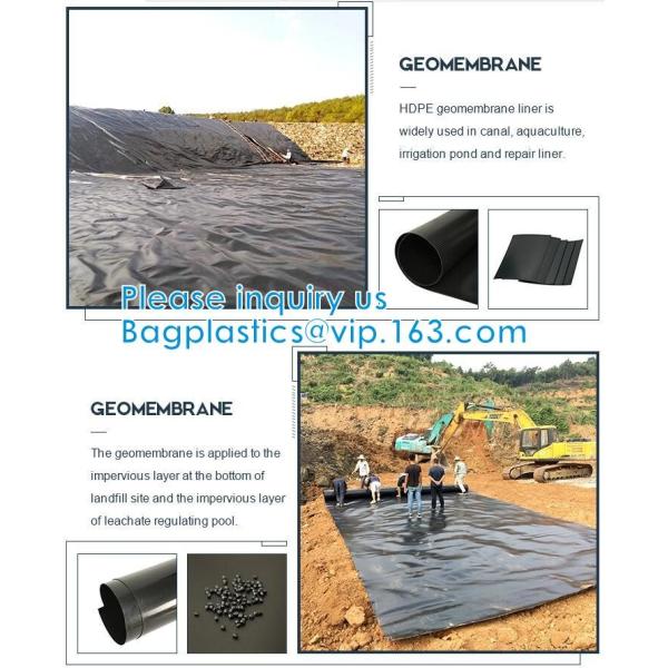 Construction Builder Film Waterproof Dampproof Clear / Black Plastic Poly Film Rolls PVC EPDM PONDS LINER Geomembrane