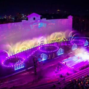 Quality Vietnam Show Water Dancing Fountain Musical Signal Control wholesale
