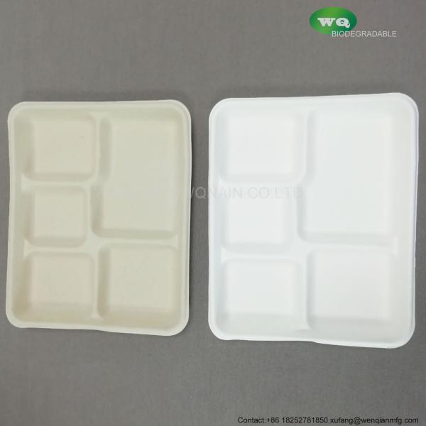100% Biodegradable Sugarcane Pulp 5 Compartment Tray Natural Bagasse Eco