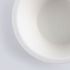 Bowls Dinnerware Type and Disposable,Stocked,Eco-Friendly Feature Biodegradable