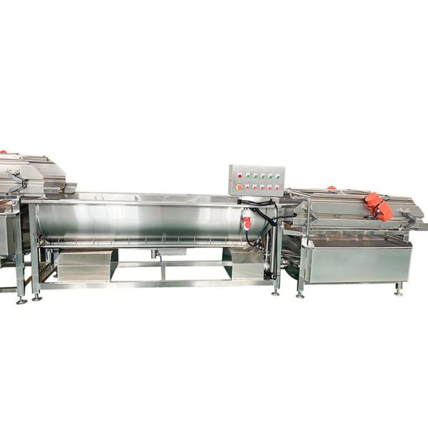 Industrial Fruit Vegetable Processing Machine