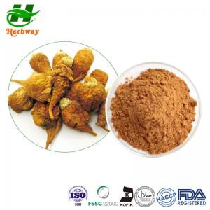 Quality Bone Health Tongkat Ali Extract Powder Maca Root Extract Powder wholesale