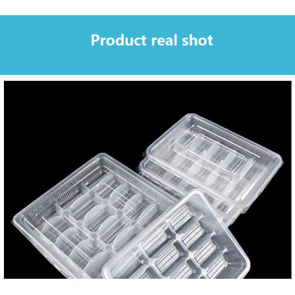 Transparent Dumpling Box Disposable Bowl with Pillar Design and Eco-friendly PP Material for Storing and Dividing Dumplings