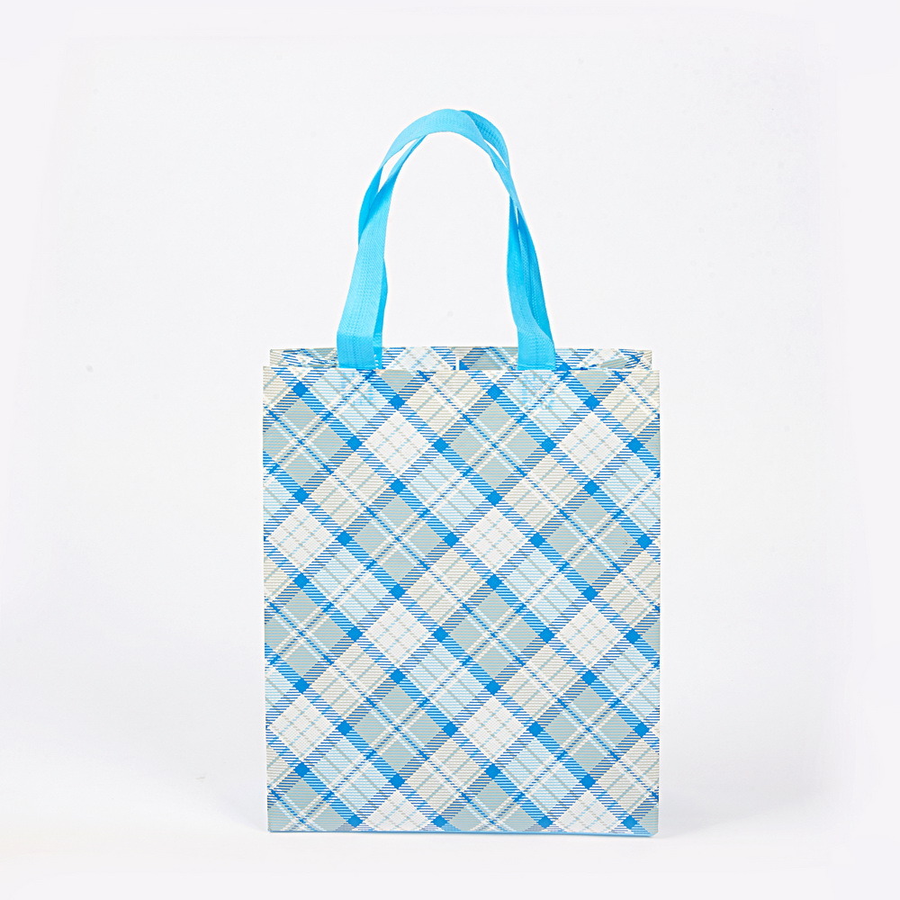 Gift Promotional Custom Non Woven Eco Friendly Reusable Logo Printed Shopping Bag