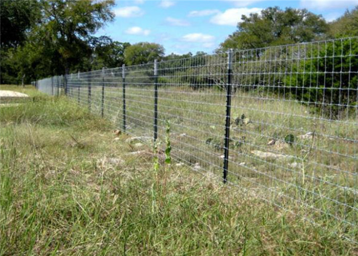 1.25LB Farm T Steel Studded Fence Post 8 FT Length