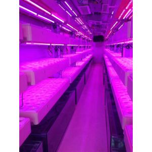 Container Farm Hydroponic Growing System Multi-Span Agricultural Greenhouses